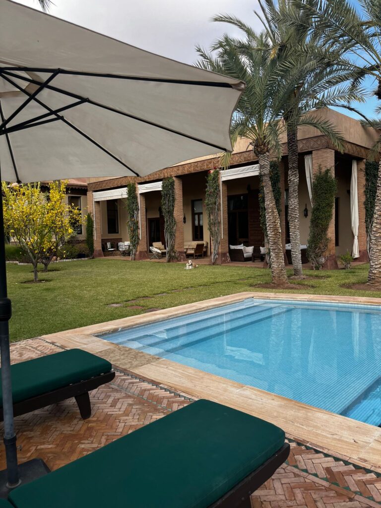 WhatsApp Image 2026-02-19 at 17.44.26